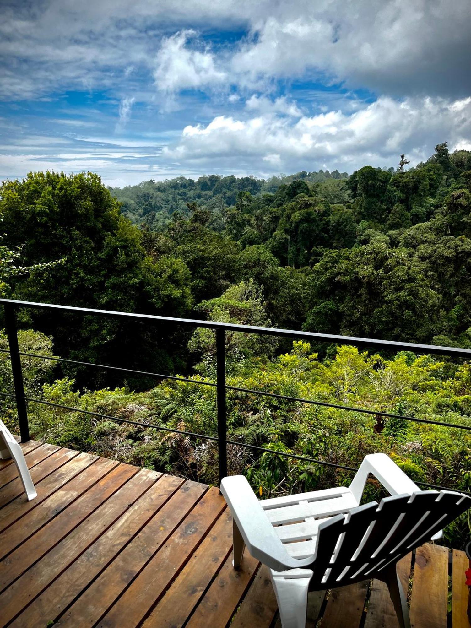 Casa Lulu Cartago