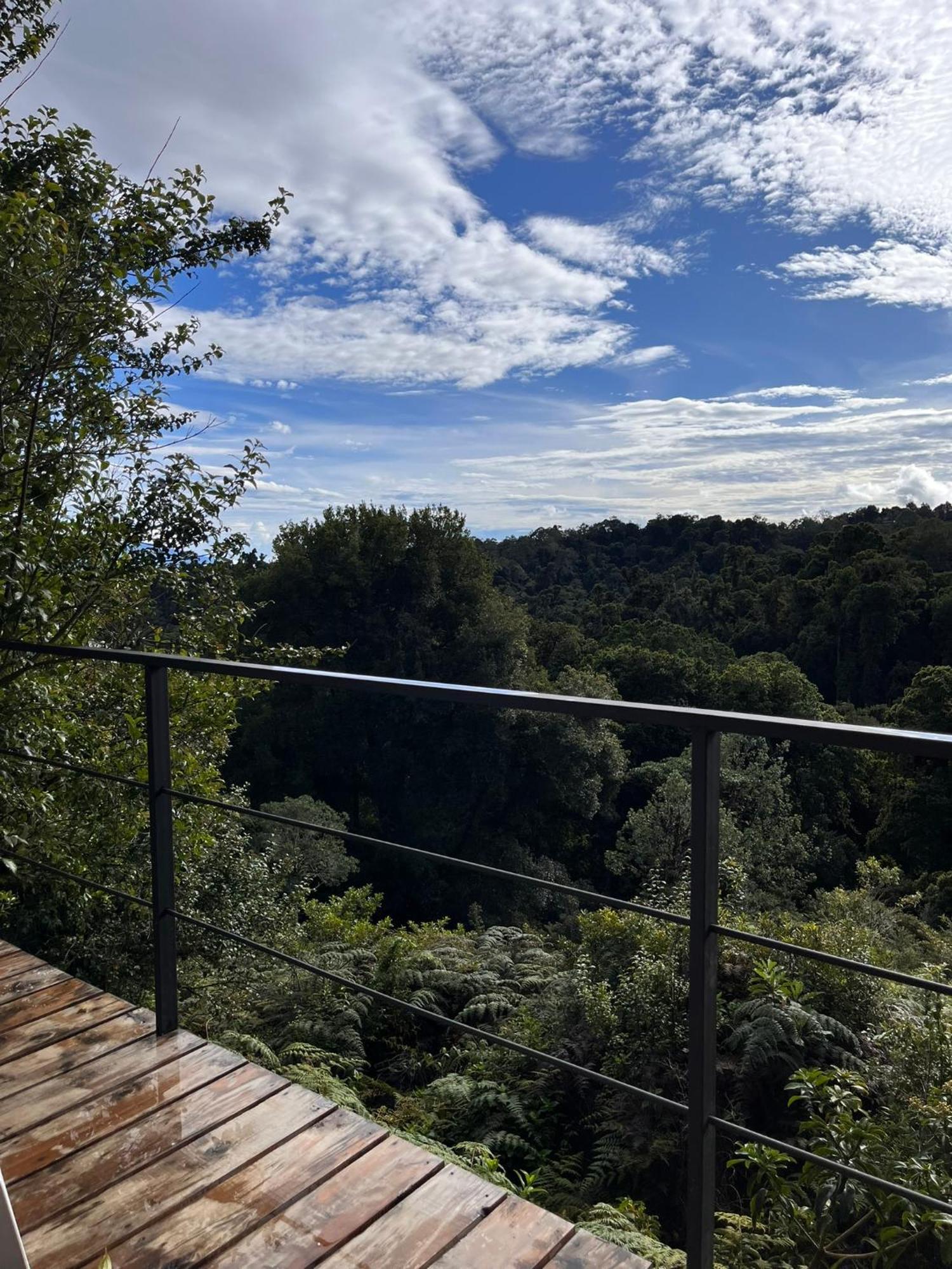 Casa Lulu Campsite Cartago