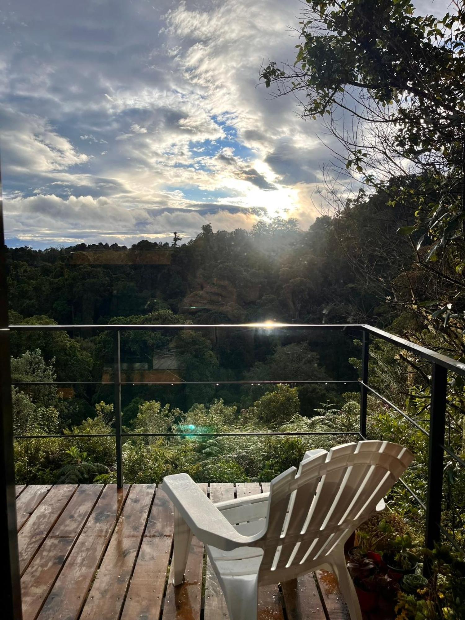 Casa Lulu Campsite *