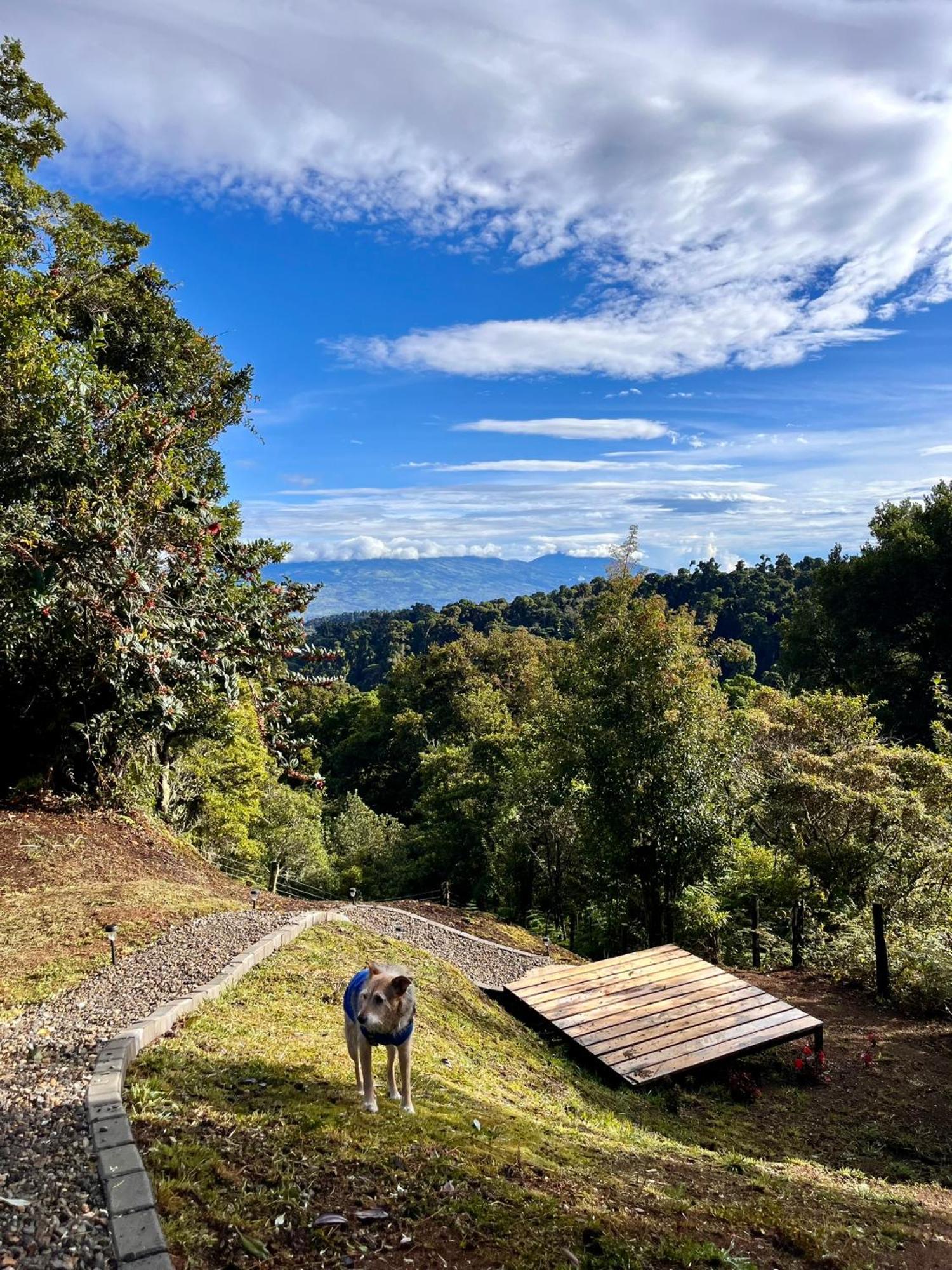 Campsite Casa Lulu Cartago